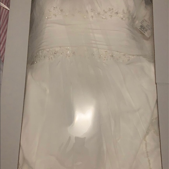 Gorgeous David’s Bridal Wedding Gown - Picture 6 of 9